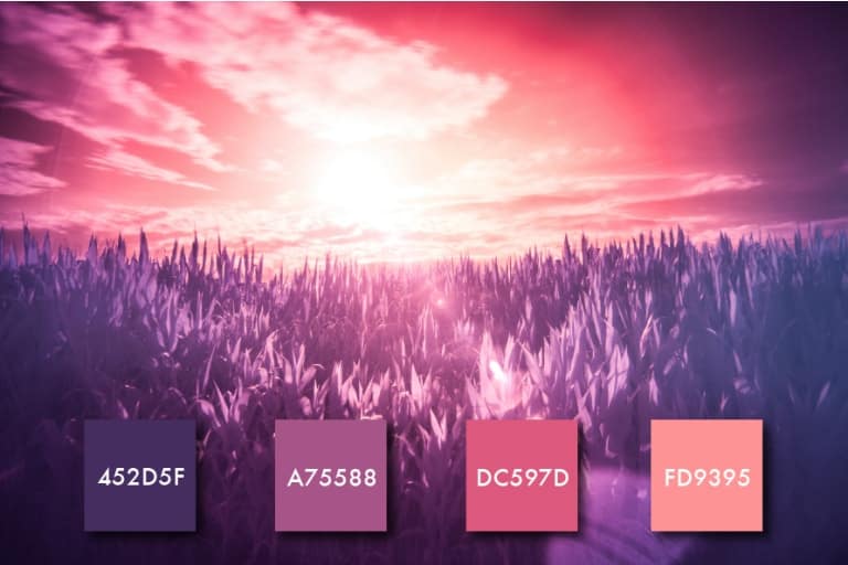 Palette de couleurs rose